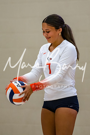 HVVB-081925-17