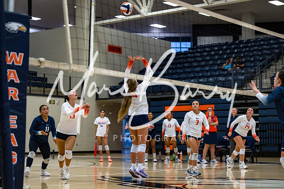 HVVB-081925-24