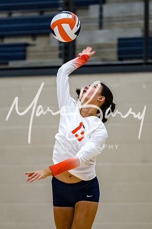 HVVB-081925-50