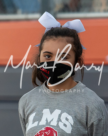 LMSC-100120-19