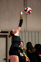AS14vFE142_10