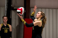 Alpha Select 14s
