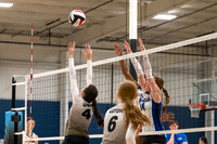 FE143vLOT14U-5
