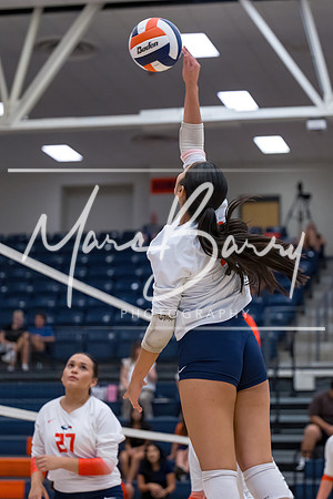 HJVVB-082026-3