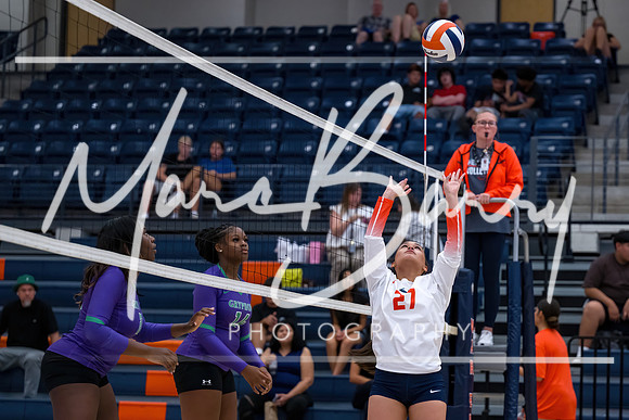 HJVVB-082026-1