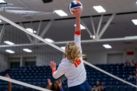 HJVVB-082026-6