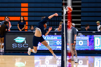 HVVB-082026-19