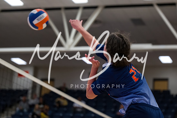 HJVVB-091224-7