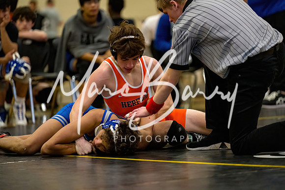 HVBWDS-020825-36